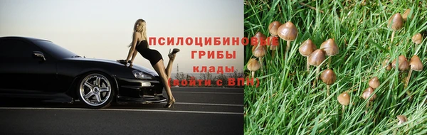 не бодяженный Баксан
