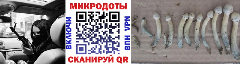 Псилоцибиновые грибы Cubensis  Балей 
