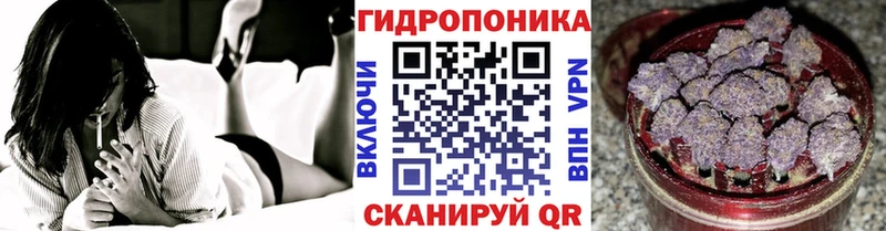 Бошки Шишки THC 21%  KRAKEN как войти  Балей  сколько стоит 
